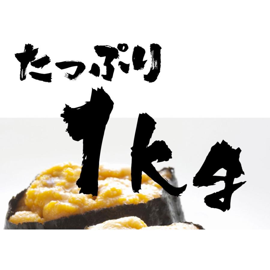 うに 雲丹 冷凍生うに 無添加 1kg（100g×10P） ミョウバン不使用 うに丼20杯分 寿司 北海丼 歳末 お歳暮 年末グルメ 贈答 迎春 | おさかな問屋 魚奏 | 10