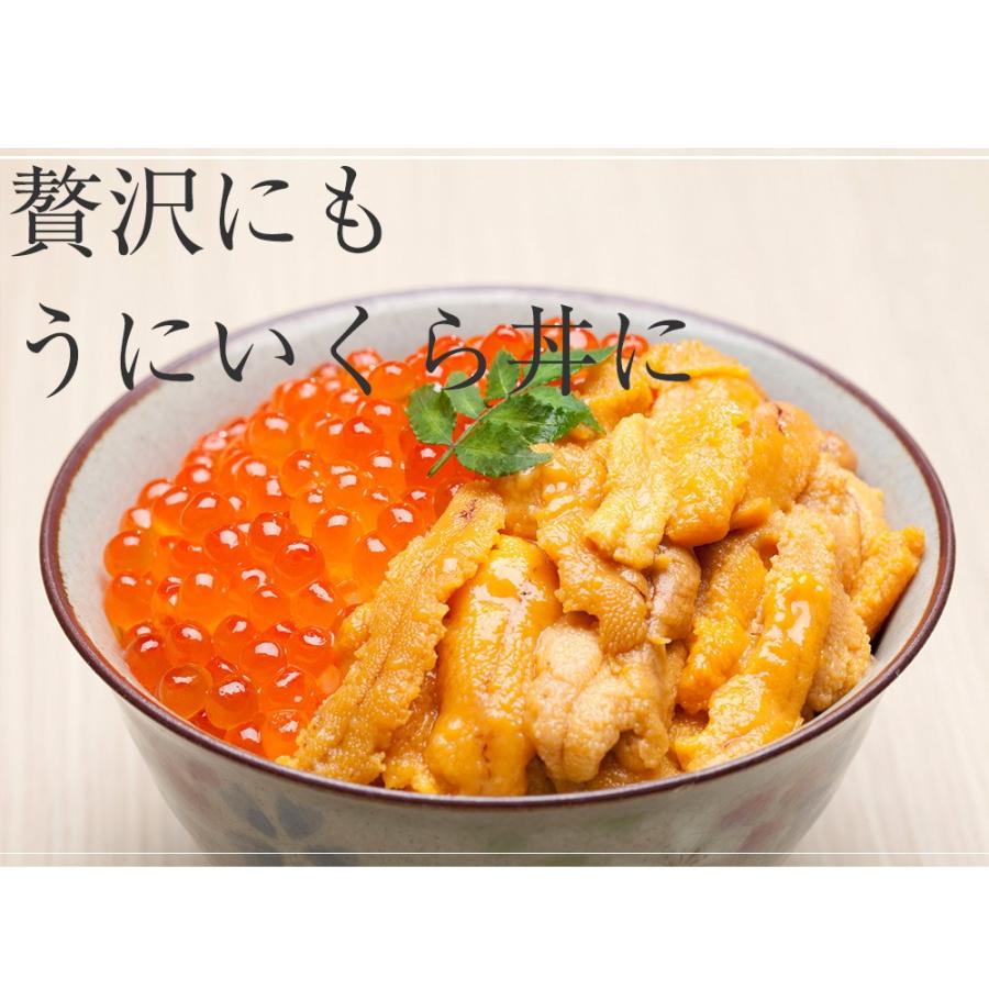 うに 雲丹 冷凍生うに 無添加 1kg（100g×10P） ミョウバン不使用 うに丼20杯分 寿司 北海丼 歳末 お歳暮 年末グルメ 贈答 迎春 | おさかな問屋 魚奏 | 07