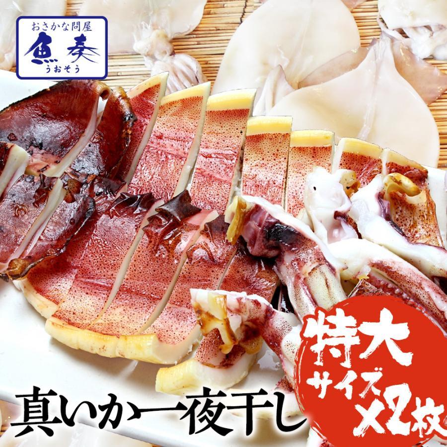 真いか 一夜干し 特大サイズ2枚 北海道産 稚内 スルメイカ 烏賊 やわらか 在宅 母の日 父の日 敬老 歳末 お歳暮 年末グルメ 贈答 迎春 | おさかな問屋 魚奏