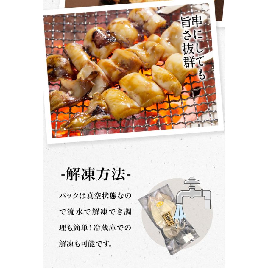 真いか 一夜干し 特大サイズ2枚 北海道産 稚内 スルメイカ 烏賊 やわらか 在宅 母の日 父の日 敬老 歳末 お歳暮 年末グルメ 贈答 迎春 | おさかな問屋 魚奏 | 10