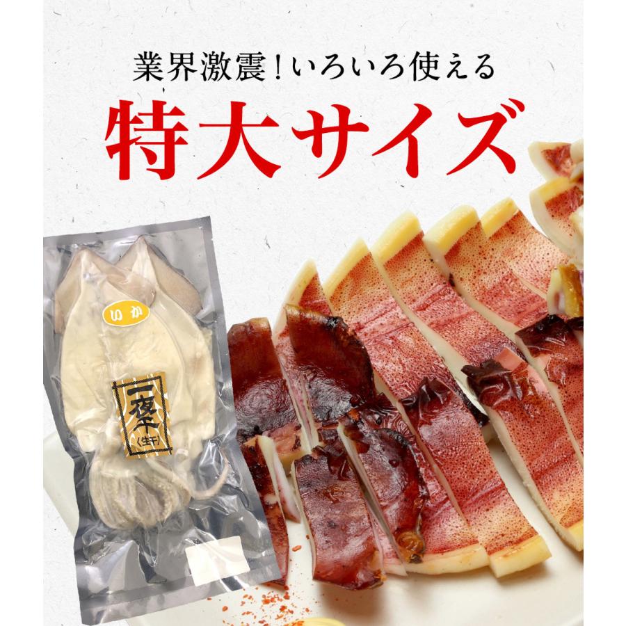 真いか 一夜干し 特大サイズ2枚 北海道産 稚内 スルメイカ 烏賊 やわらか 在宅 母の日 父の日 敬老 歳末 お歳暮 年末グルメ 贈答 迎春 | おさかな問屋 魚奏 | 06