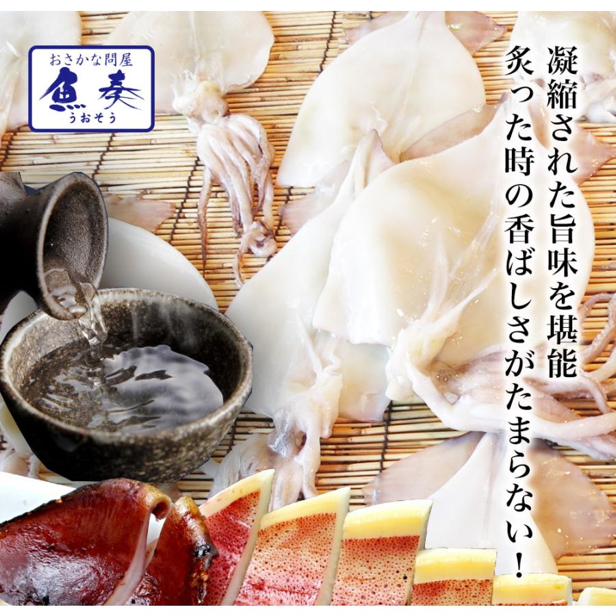 真いか 一夜干し 特大サイズ4枚 北海道産 稚内  スルメイカ 烏賊 やわらか 在宅 母の日 父の日 敬老 歳末 お歳暮 年末グルメ 贈答 迎春 | おさかな問屋 魚奏 | 01