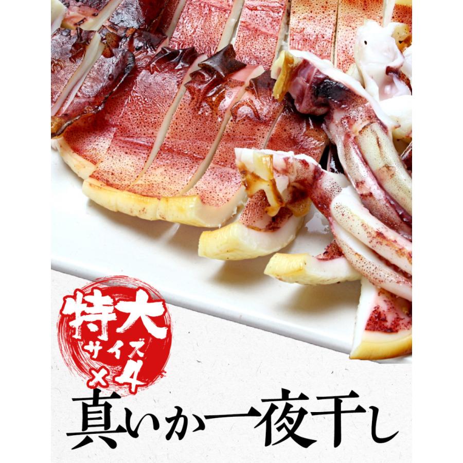真いか 一夜干し 特大サイズ4枚 北海道産 稚内  スルメイカ 烏賊 やわらか 在宅 母の日 父の日 敬老 歳末 お歳暮 年末グルメ 贈答 迎春 | おさかな問屋 魚奏 | 02
