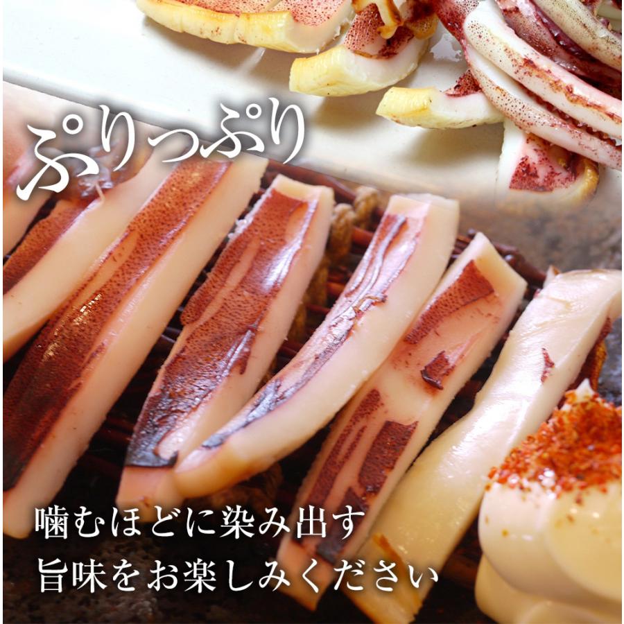 真いか 一夜干し 特大サイズ2枚 北海道産 稚内  スルメイカ 烏賊 やわらか 在宅 母の日 父の日 敬老 歳末 お歳暮 年末グルメ 贈答 迎春 | おさかな問屋 魚奏 | 05