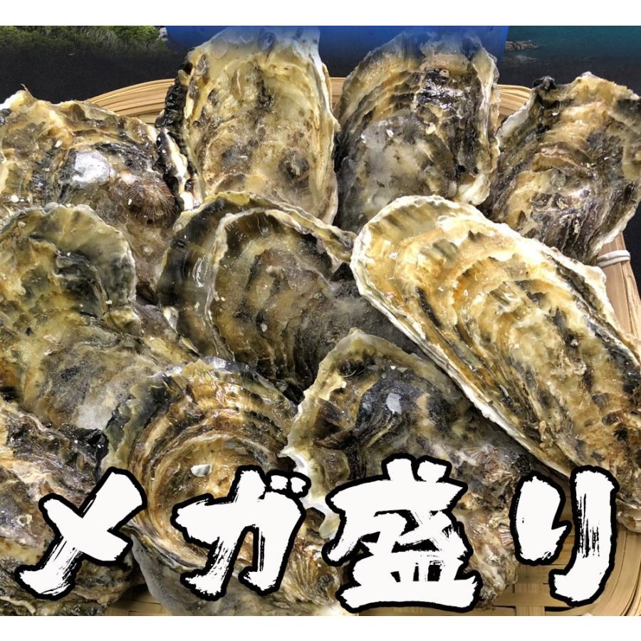 伊勢神宮奉納 牡蠣 カキ かき 桃こまち 訳あり メガ盛り 3キロ 約30個 カンカン焼き q カキ小屋 送料無料 殻つき牡ナイフ軍手付 ギフト 取り寄せ おさかな問屋 魚奏 通販 Yahoo ショッピング
