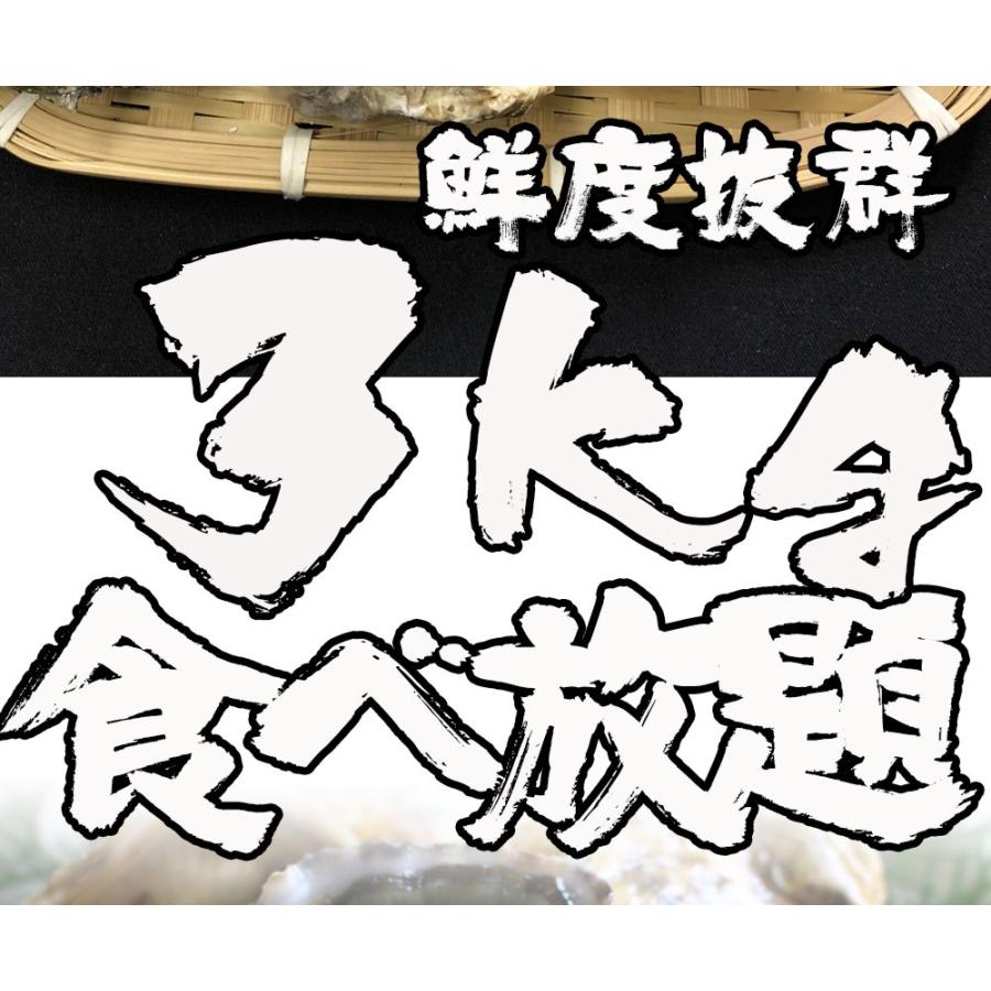 伊勢神宮奉納 殻つき牡蠣 カキ 桃こまち 伊勢湾産 3キロ(約30個)  訳あり カンカン焼き BBQ 歳末 お歳暮 年末グルメ 贈答 迎春 | おさかな問屋 魚奏 | 02