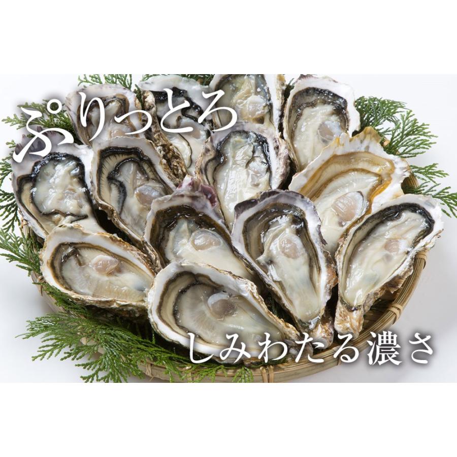 伊勢神宮奉納 殻つき牡蠣 カキ 桃こまち 伊勢湾産 7キロ(約75個)  訳あり カンカン焼き BBQ 歳末 お歳暮 年末グルメ 贈答 迎春 | おさかな問屋 魚奏 | 05