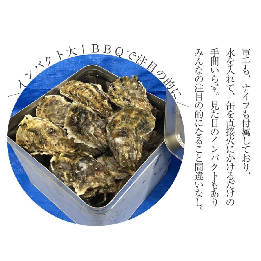 伊勢神宮奉納 殻つき牡蠣 カキ 桃こまち 伊勢湾産 7キロ(約75個)  訳あり カンカン焼き BBQ 歳末 お歳暮 年末グルメ 贈答 迎春 | おさかな問屋 魚奏 | 06