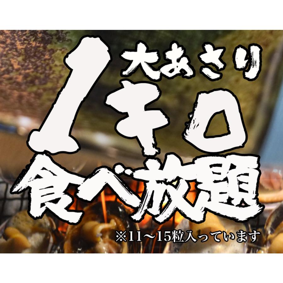 大あさり 1kg 11〜15個 大アサリ 大貝 うちむらさき BBQ 居酒屋 海鮮 同梱推奨 片貝 殻つき 歳末 お歳暮 年末グルメ 贈答 迎春 | おさかな問屋 魚奏 | 02
