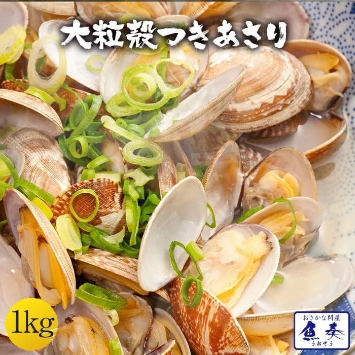 大粒あさり貝 殻つき 1kg（500g×2パック） アサリ 浅利 同梱推奨 酒蒸し 味噌汁 吸い物 あさりバター パスタ BBQ｜uosou