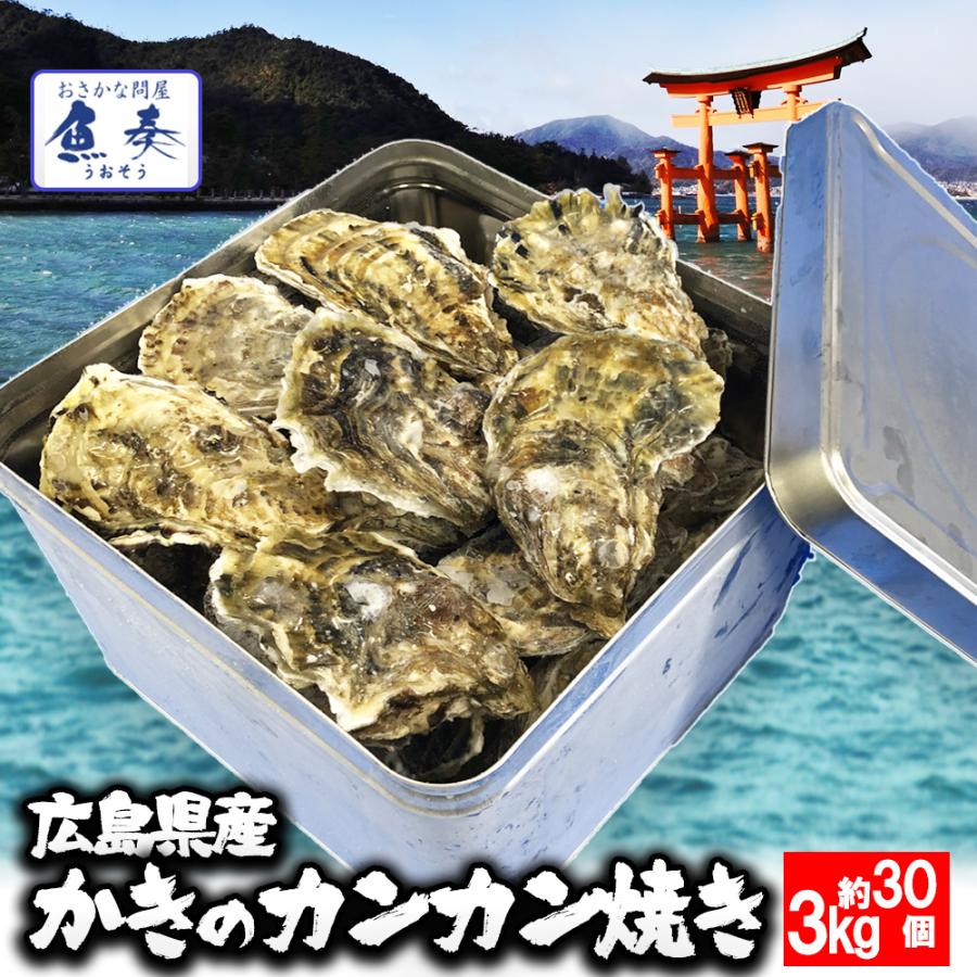 広島産 殻付き 牡蠣 訳あり 3キロ(約30個) カンカン焼き ガンガン焼　カキ かき 宮島 BBQ 歳末 お歳暮 年末グルメ 贈答 迎春 | おさかな問屋 魚奏