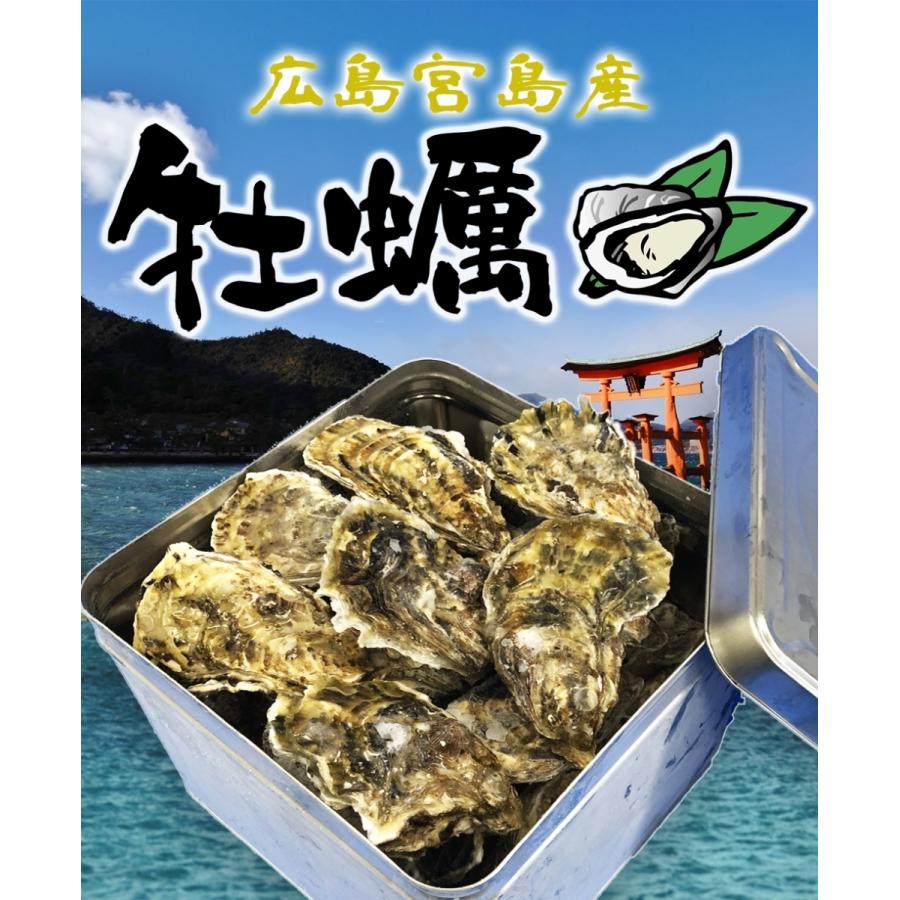 広島産 殻付き 牡蠣 訳あり 3キロ(約30個) カンカン焼き ガンガン焼　カキ かき 宮島 BBQ 歳末 お歳暮 年末グルメ 贈答 迎春 | おさかな問屋 魚奏 | 01