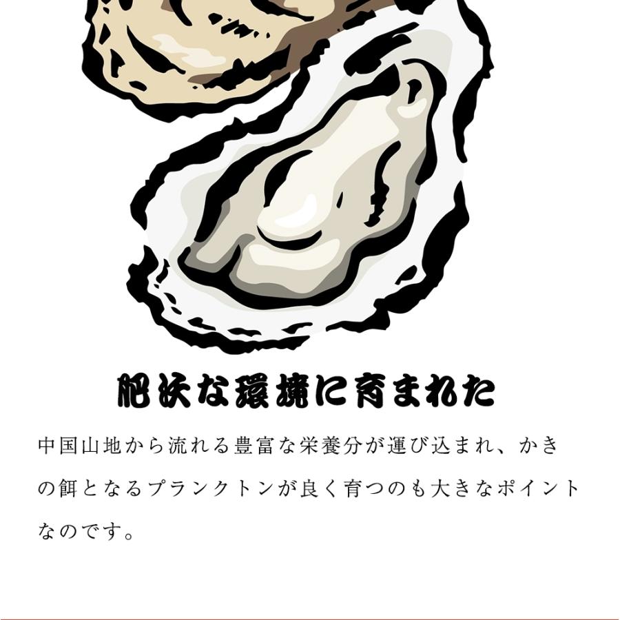 広島産 殻付き 牡蠣 訳あり 3キロ(約30個) カンカン焼き ガンガン焼　カキ かき 宮島 BBQ 歳末 お歳暮 年末グルメ 贈答 迎春 | おさかな問屋 魚奏 | 06