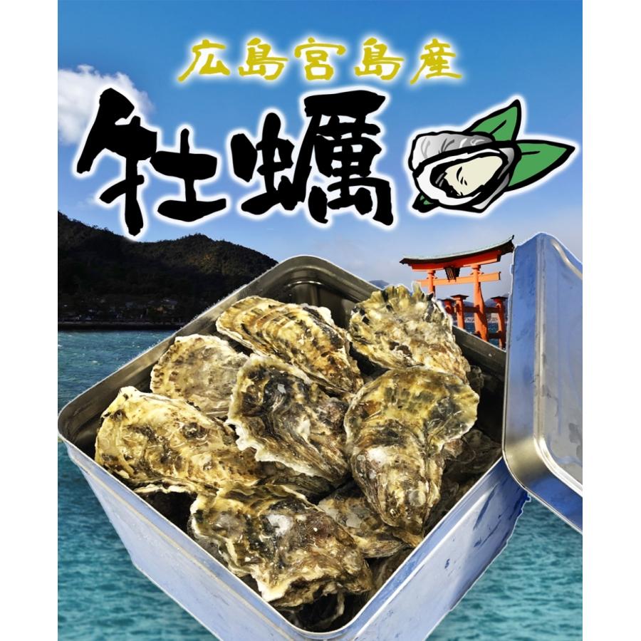 広島産 殻付き牡蠣 訳あり 3キロ(約30個) カンカン焼き カキ かき 宮島 BBQ ナイフ 軍手付 ギフト 取り寄せ｜uosou｜02