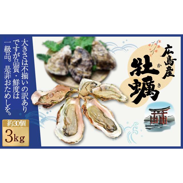 広島産 殻付き牡蠣 訳あり 3キロ(約30個) カンカン焼き カキ かき 宮島 BBQ ナイフ 軍手付 ギフト 歳末 お歳暮 年末グルメ 贈答 迎春 | おさかな問屋 魚奏 | 16