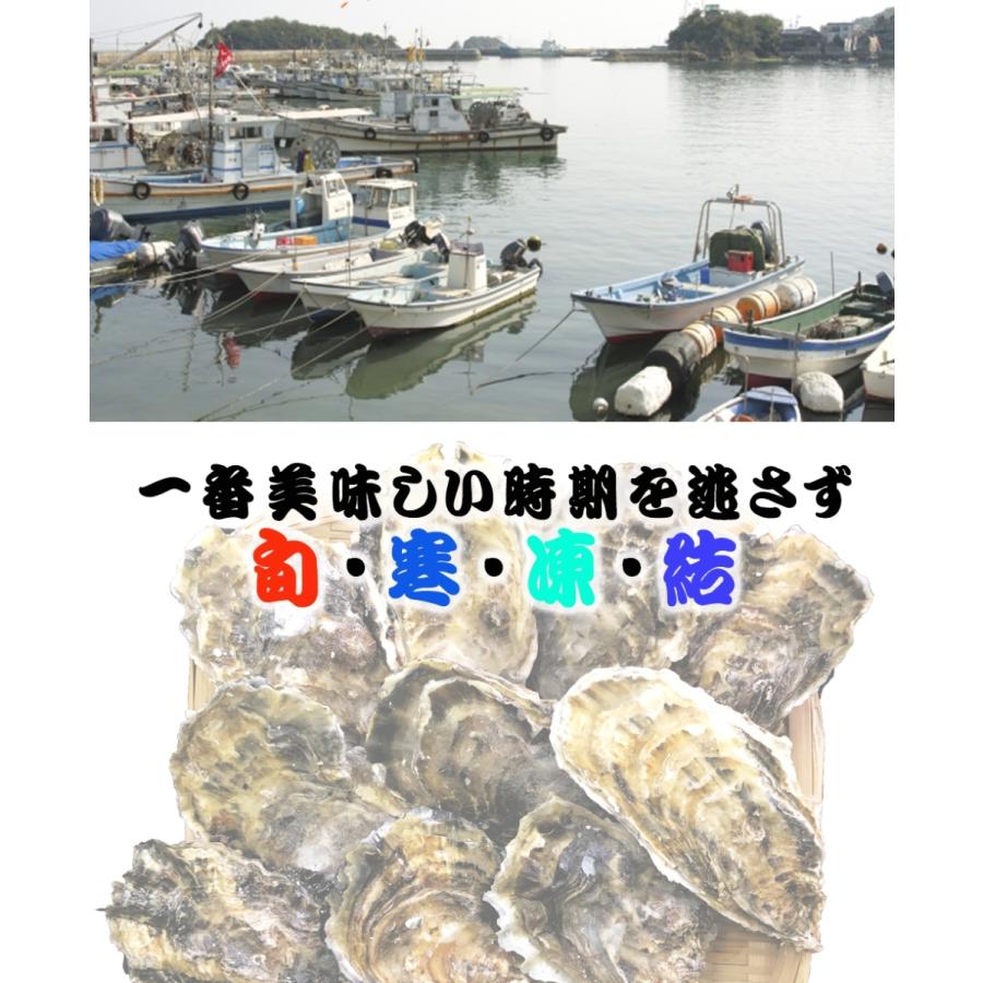 広島産 殻付き牡蠣 訳あり 3キロ(約30個) カンカン焼き カキ かき 宮島 BBQ ナイフ 軍手付 ギフト 歳末 お歳暮 年末グルメ 贈答 迎春 | おさかな問屋 魚奏 | 03