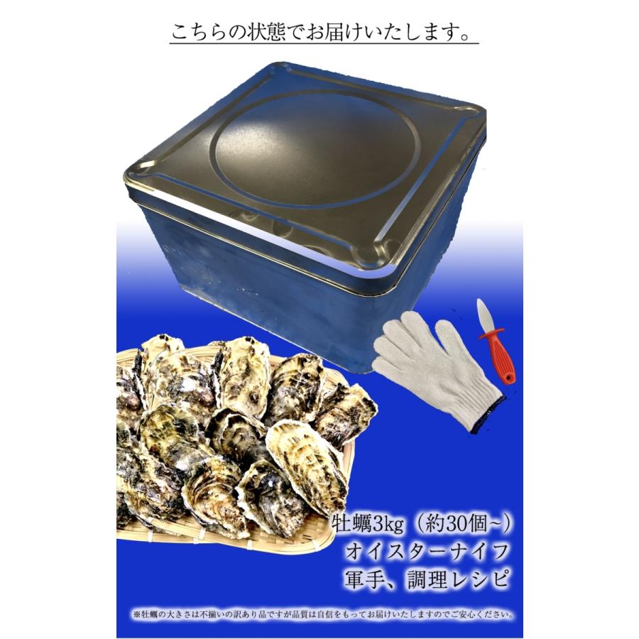 広島産 殻付き牡蠣 訳あり 3キロ(約30個) カンカン焼き カキ かき 宮島 BBQ ナイフ 軍手付 ギフト 歳末 お歳暮 年末グルメ 贈答 迎春 | おさかな問屋 魚奏 | 08