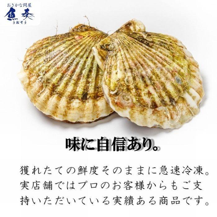 貝付ほたて 10枚 冷凍 ホタテ 帆立 片貝 北海 同梱推奨 BBQ 殻つき 在宅 母の日 父の日 敬老 歳末 お歳暮 年末グルメ 贈答 迎春 | おさかな問屋 魚奏 | 02