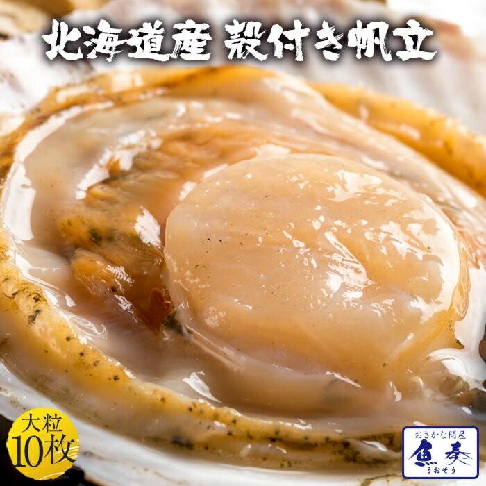 貝付ほたて 10枚 冷凍 ホタテ 帆立 片貝 北海 同梱推奨 BBQ 殻つき 在宅 母の日 父の日 敬老 歳末 お歳暮 年末グルメ 贈答 迎春 | おさかな問屋 魚奏 | 04