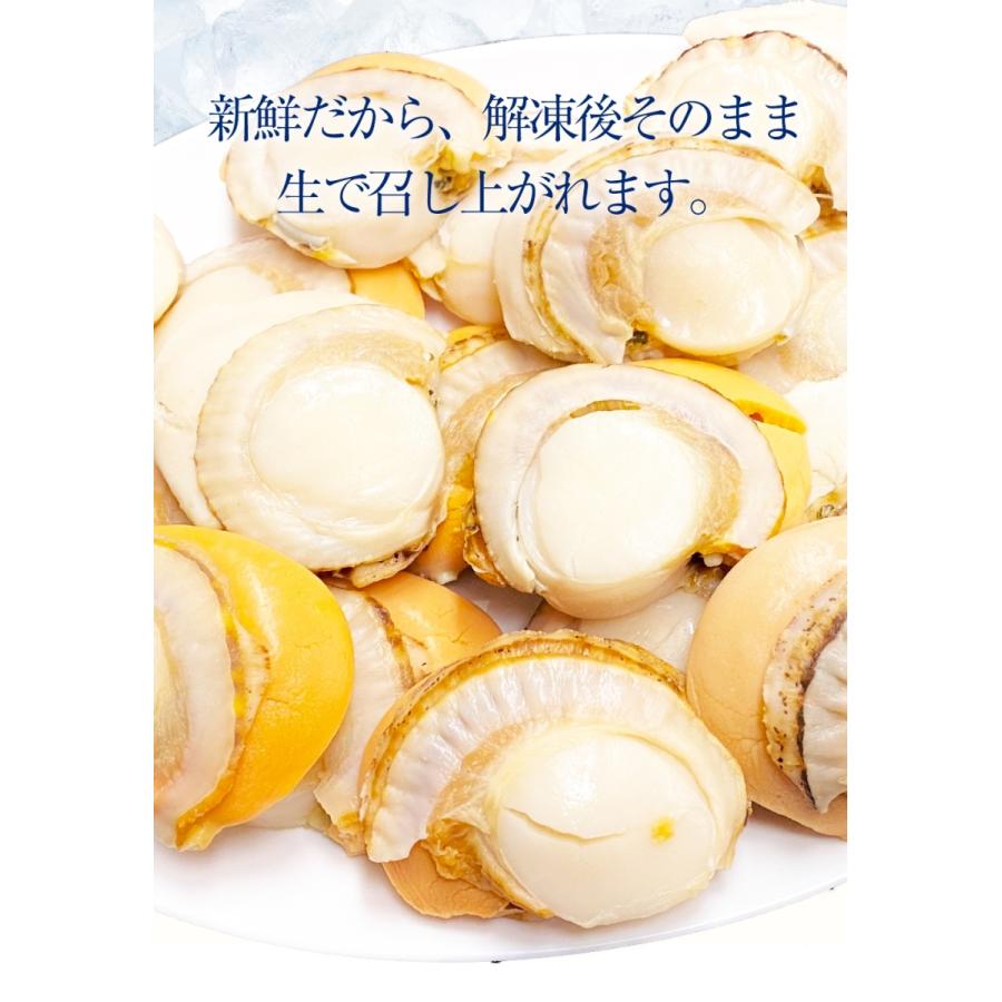 北海道産 ボイルほたて 特大 2L （NET800g） ほたて ホタテ 帆立 貝 蒸し 母の日 お祝い 父の日 歳末 お歳暮 年末グルメ 贈答 迎春 | おさかな問屋 魚奏 | 07