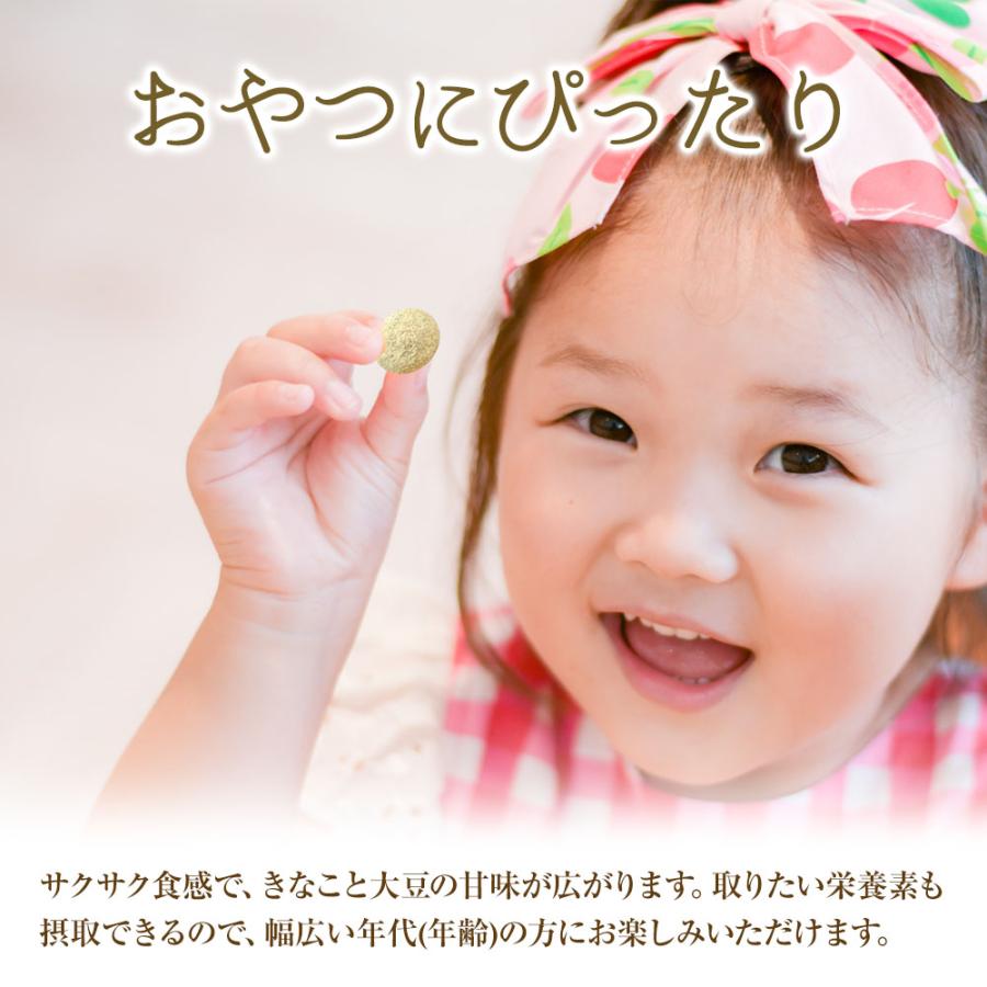 きなこ大豆 国産 420g（105g×4袋） きな粉 豆菓子 国産きなこ大豆 ギフト 送料無料 ポスト投函 歳末 お歳暮 年末グルメ 贈答 迎春 | おさかな問屋 魚奏 | 07