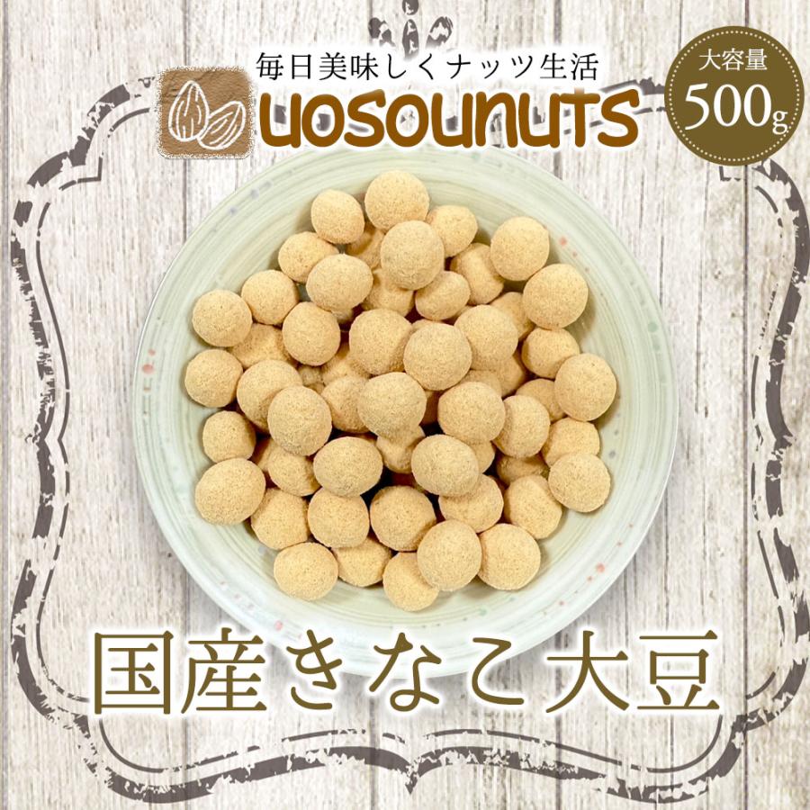 きなこ大豆 国産 500g きな粉 豆菓子 国産きなこ大豆 ギフト 送料無料 ポスト投函 歳末 お歳暮 年末グルメ 贈答 迎春 | おさかな問屋 魚奏