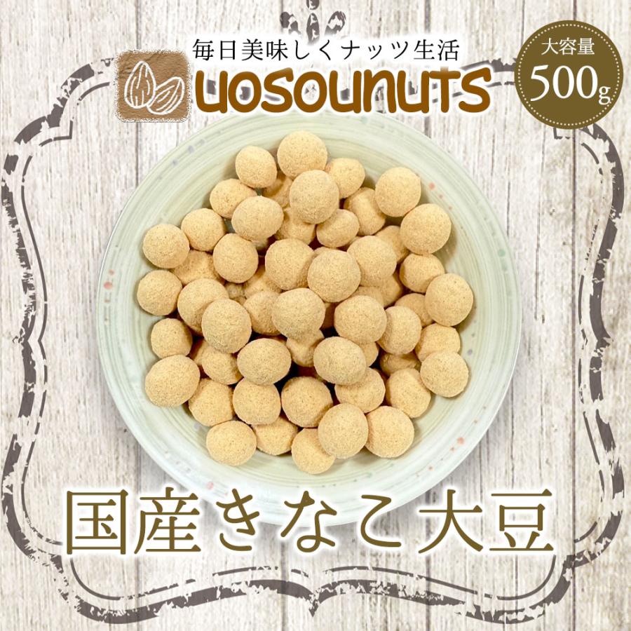 きなこ大豆 国産 500g きな粉 豆菓子 国産きなこ大豆 ギフト 送料無料 ポスト投函 歳末 お歳暮 年末グルメ 贈答 迎春 | おさかな問屋 魚奏 | 01