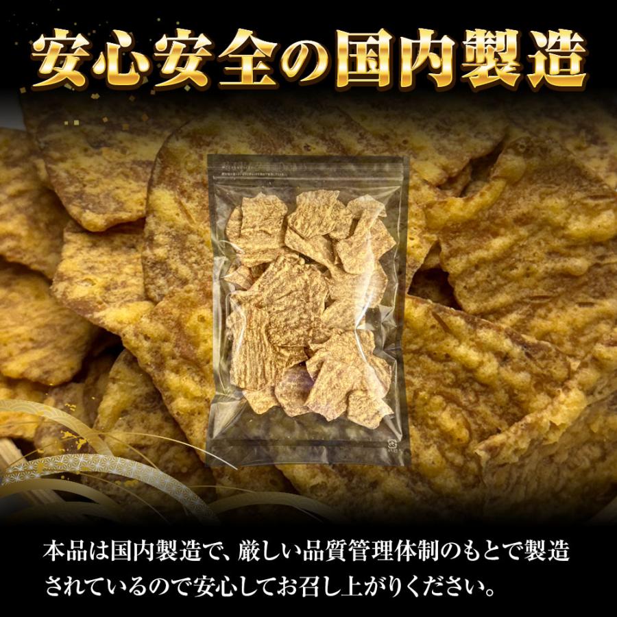 訳あり いか姿フライ 220g 折れイカ姿フライ イカフライ 徳用 大容量 駄菓子 なつかし ポスト投函 歳末 お歳暮 年末グルメ 贈答 迎春 | おさかな問屋 魚奏 | 07