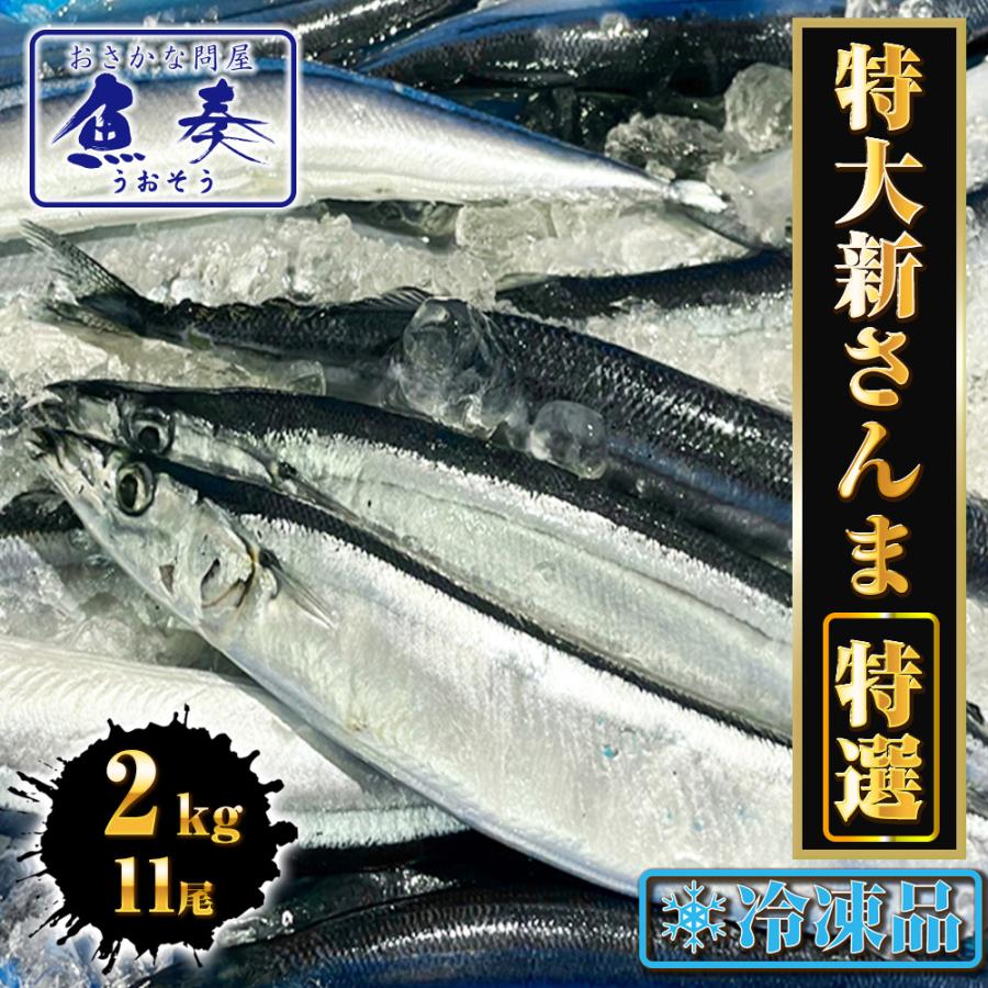 特大生冷凍さんま 2kg（11尾） 特選 送料無料 生食可能 さんま サンマ 秋刀魚 北海道 → 三陸 歳末 お歳暮 年末グルメ 贈答 迎春 | おさかな問屋 魚奏 | 14