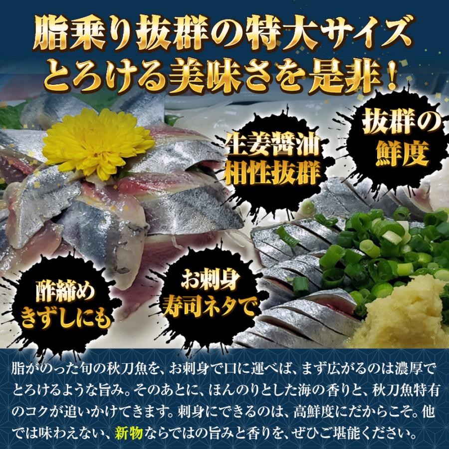 特大生冷凍さんま 2kg（11尾） 特選 送料無料 生食可能 さんま サンマ 秋刀魚 北海道 → 三陸 歳末 お歳暮 年末グルメ 贈答 迎春 | おさかな問屋 魚奏 | 02