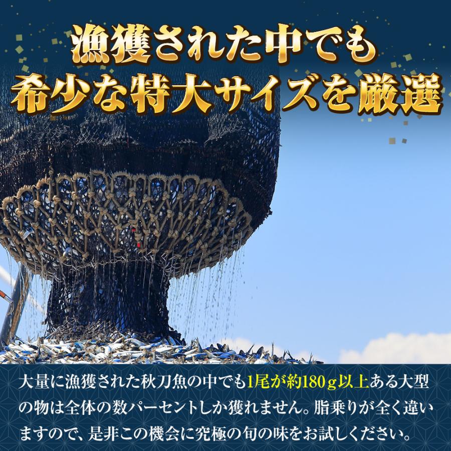 特大生冷凍さんま 2kg（11尾） 特選 送料無料 生食可能 さんま サンマ 秋刀魚 北海道 → 三陸 歳末 お歳暮 年末グルメ 贈答 迎春 | おさかな問屋 魚奏 | 05