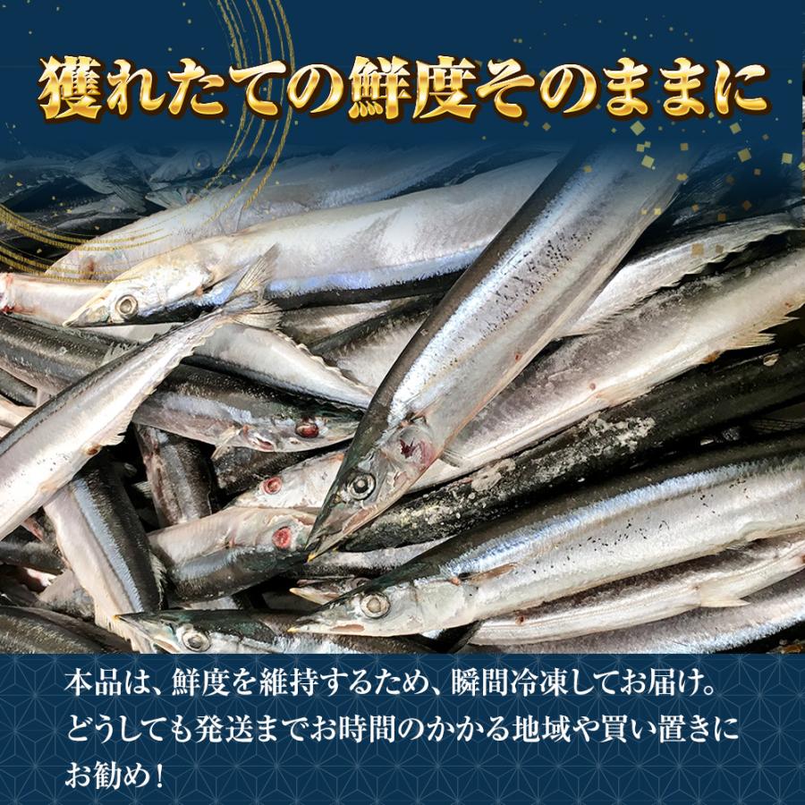 特大生冷凍さんま 2kg（11尾） 特選 送料無料 生食可能 さんま サンマ 秋刀魚 北海道 → 三陸 歳末 お歳暮 年末グルメ 贈答 迎春 | おさかな問屋 魚奏 | 08