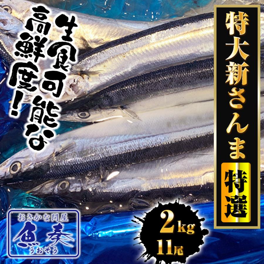 特大生さんま 2kg（11尾） 特選 送料無料 生食可能 さんま サンマ 秋刀魚 北海道 → 三陸 歳末 お歳暮 年末グルメ 贈答 迎春 | おさかな問屋 魚奏 | 01