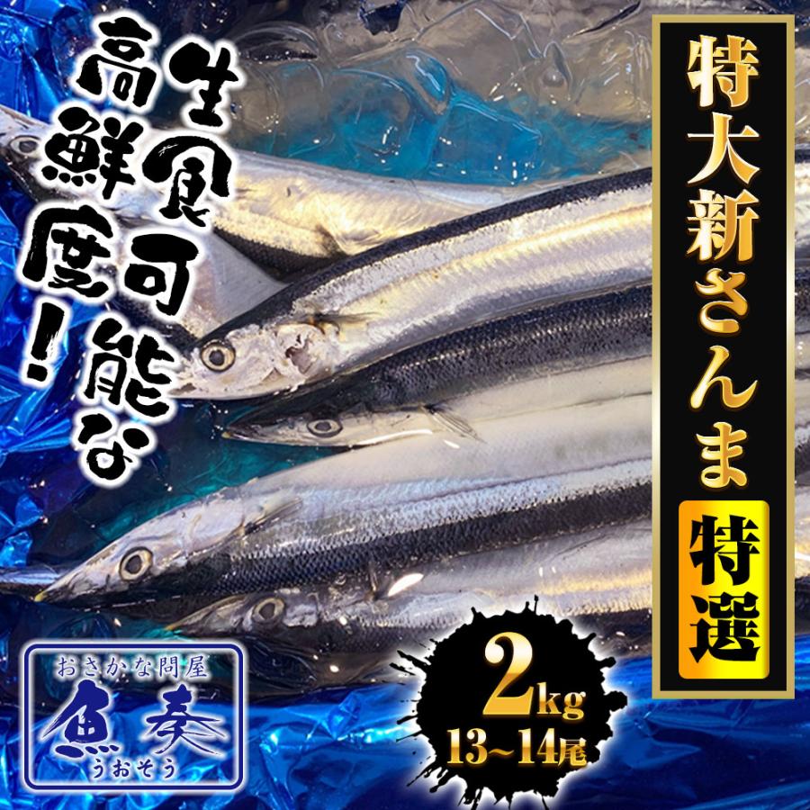 特大生さんま 2kg（13/14尾） 特選 送料無料 生食可能 さんま サンマ 秋刀魚 北海道 → 三陸 母の日 父の日 敬老 中元 ギフト | おさかな問屋 魚奏 | 01
