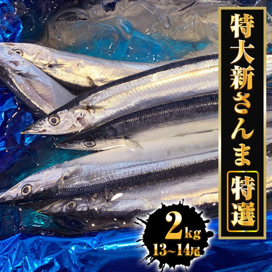 特大生さんま 2kg（13/14尾） 特選 送料無料 生食可能 さんま サンマ 秋刀魚 北海道 → 三陸 母の日 父の日 敬老 中元 ギフト | おさかな問屋 魚奏 | 20