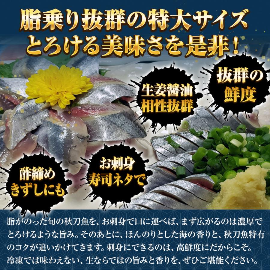 特大生さんま 2kg（13/14尾） 特選 送料無料 生食可能 さんま サンマ 秋刀魚 北海道 → 三陸 母の日 父の日 敬老 中元 ギフト | おさかな問屋 魚奏 | 02