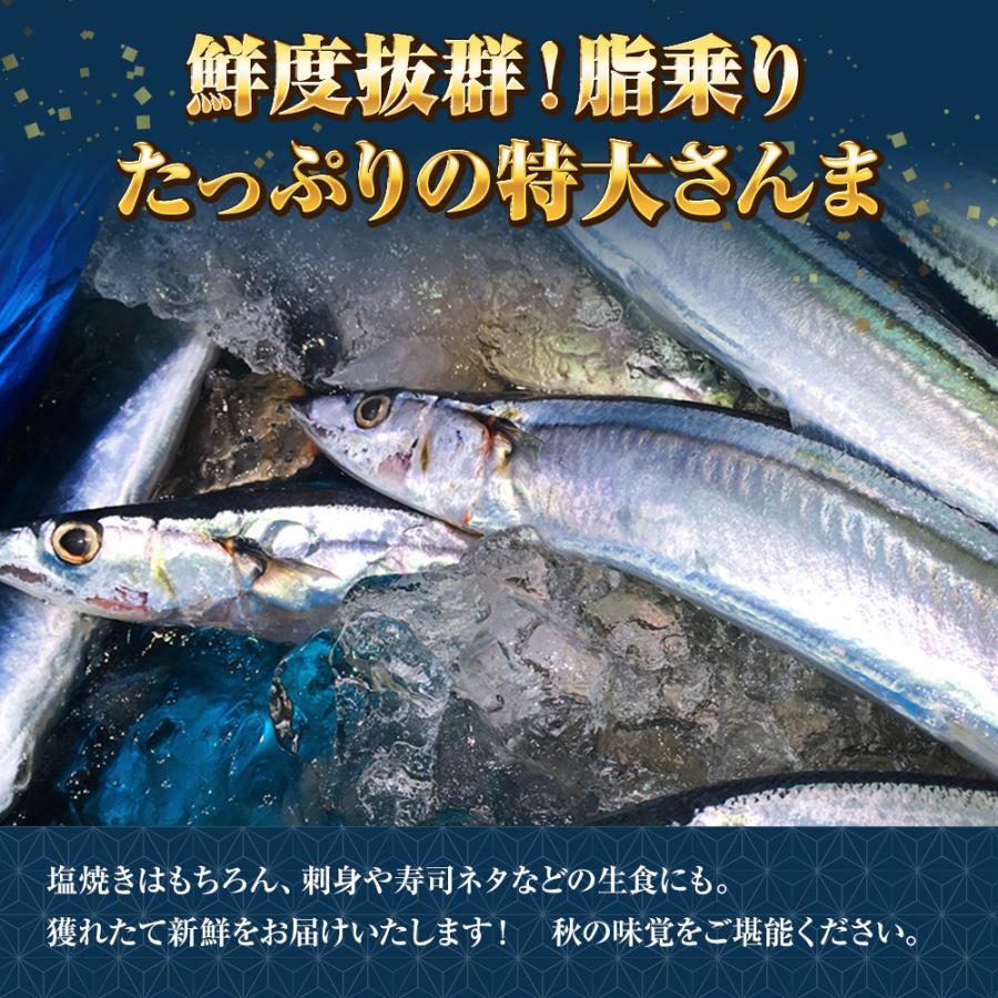 特大生さんま 2kg（11尾） 特選 送料無料 生食可能 さんま サンマ 秋刀魚 北海道 → 三陸 歳末 お歳暮 年末グルメ 贈答 迎春 | おさかな問屋 魚奏 | 04