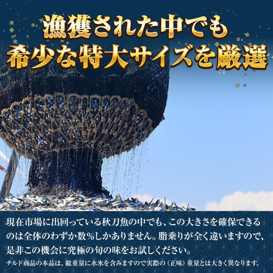 特大生さんま 2kg（13/14尾） 特選 送料無料 生食可能 さんま サンマ 秋刀魚 北海道 → 三陸 母の日 父の日 敬老 中元 ギフト | おさかな問屋 魚奏 | 05