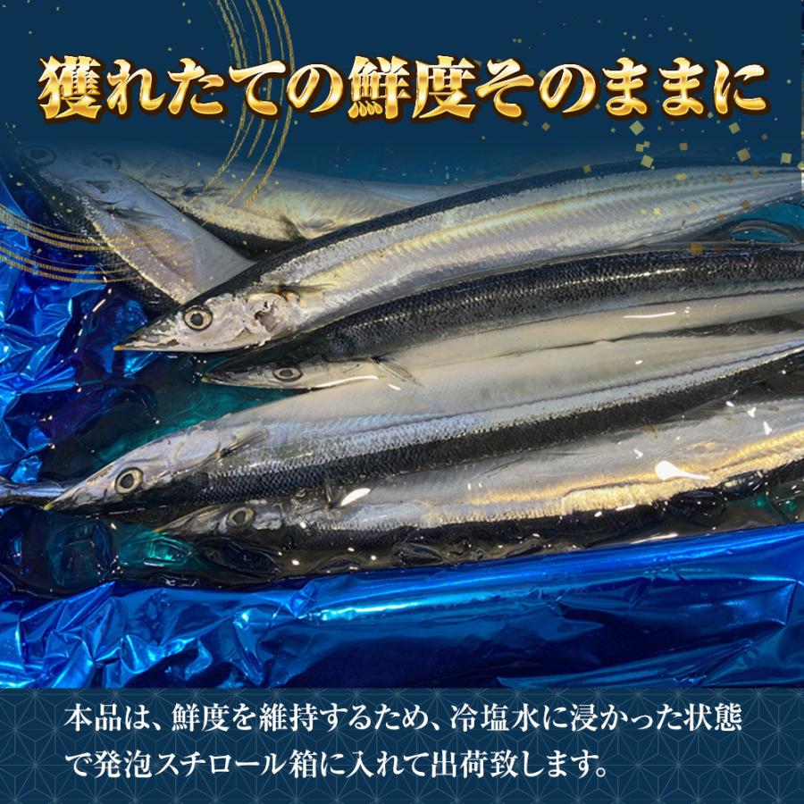 特大生さんま 2kg（11尾） 特選 送料無料 生食可能 さんま サンマ 秋刀魚 北海道 → 三陸 歳末 お歳暮 年末グルメ 贈答 迎春 | おさかな問屋 魚奏 | 08