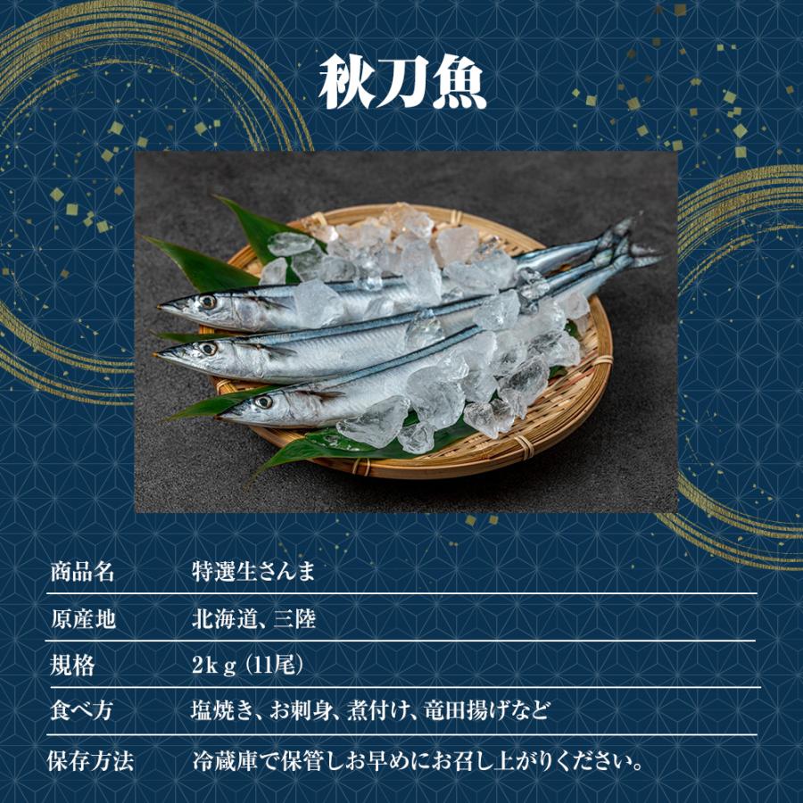 特大生さんま 2kg（11尾） 特選 送料無料 生食可能 さんま サンマ 秋刀魚 北海道 → 三陸 歳末 お歳暮 年末グルメ 贈答 迎春 | おさかな問屋 魚奏 | 09