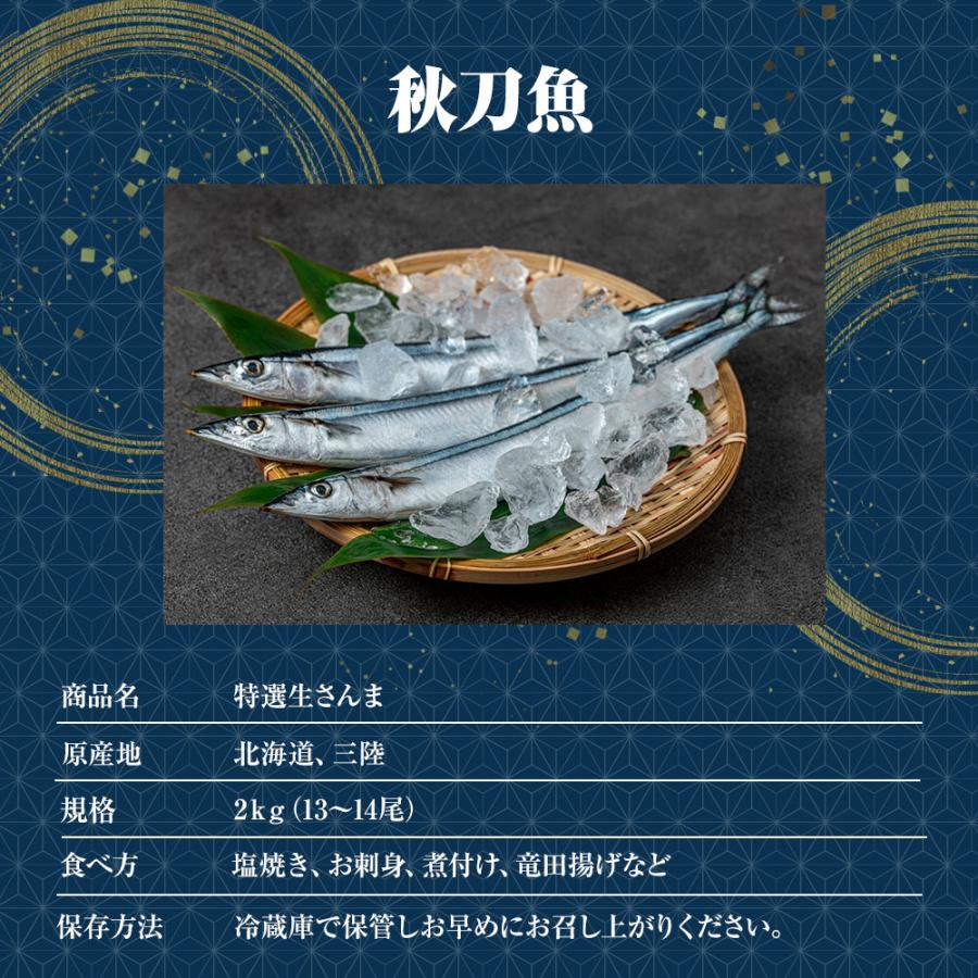 特大生さんま 2kg（13/14尾） 特選 送料無料 生食可能 さんま サンマ 秋刀魚 北海道 → 三陸 母の日 父の日 敬老 中元 ギフト | おさかな問屋 魚奏 | 09