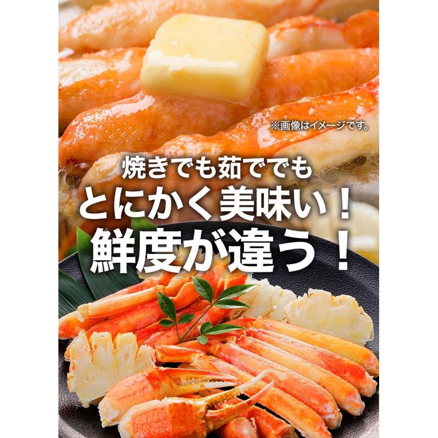 ボイル ズワイガニ 特大 脚 5kg お歳暮 ギフト かに カニ 蟹 ずわい 歳末 お歳暮 年末グルメ 贈答 迎春 | おさかな問屋 魚奏 | 11