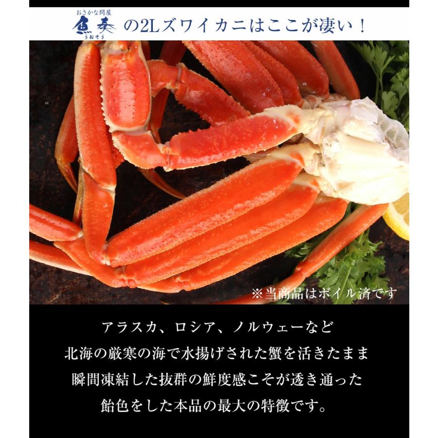 ボイル ズワイガニ 特大 脚 5kg お歳暮 ギフト かに カニ 蟹 ずわい 歳末 お歳暮 年末グルメ 贈答 迎春 | おさかな問屋 魚奏 | 14