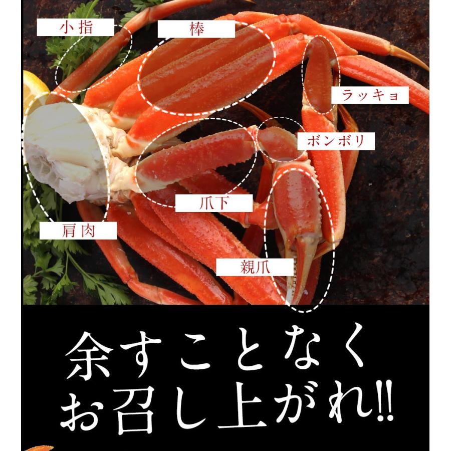 ボイル ズワイガニ 特大 脚 5kg お歳暮 ギフト かに カニ 蟹 ずわい 歳末 お歳暮 年末グルメ 贈答 迎春 | おさかな問屋 魚奏 | 16