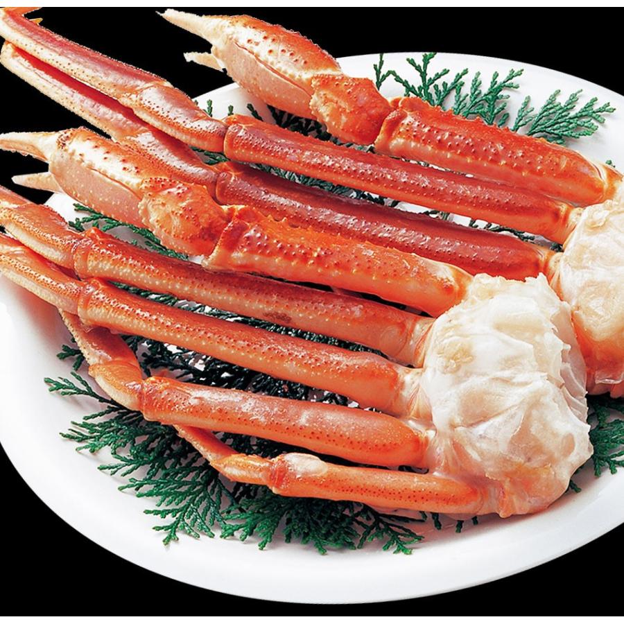 ボイル ズワイガニ 特大 脚 5kg お歳暮 ギフト かに カニ 蟹 ずわい 歳末 お歳暮 年末グルメ 贈答 迎春 | おさかな問屋 魚奏 | 17