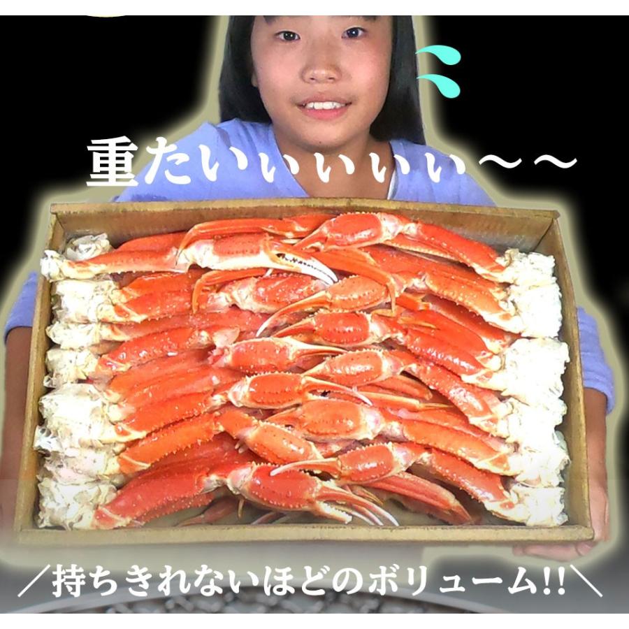 ボイル ズワイガニ 特大 脚 5kg お歳暮 ギフト かに カニ 蟹 ずわい 歳末 お歳暮 年末グルメ 贈答 迎春 | おさかな問屋 魚奏 | 04