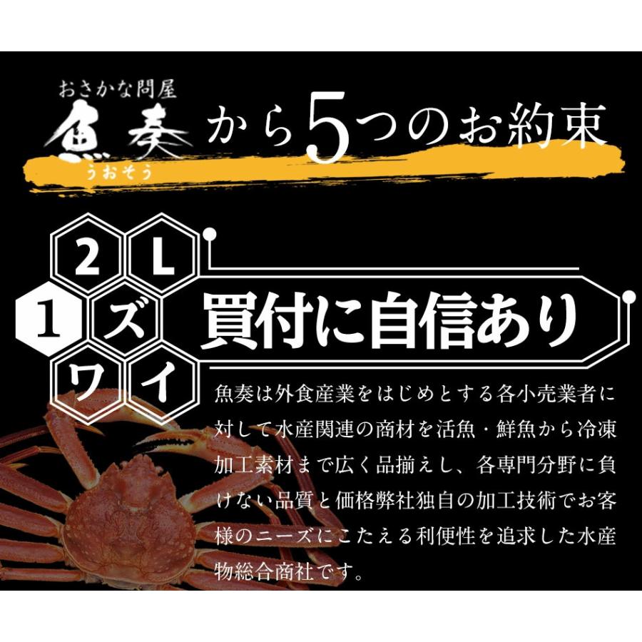 ボイル ズワイガニ 特大 脚 5kg お歳暮 ギフト かに カニ 蟹 ずわい 歳末 お歳暮 年末グルメ 贈答 迎春 | おさかな問屋 魚奏 | 06