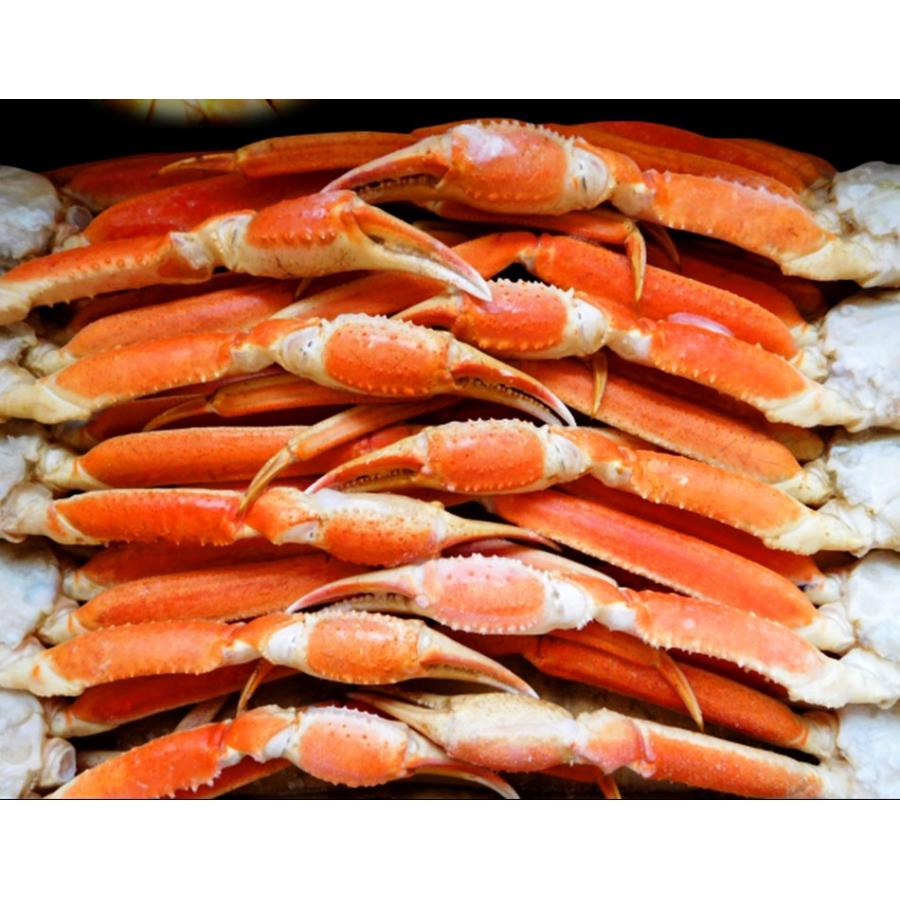 ボイル ズワイガニ 特大 脚 5kg お歳暮 ギフト かに カニ 蟹 ずわい 歳末 お歳暮 年末グルメ 贈答 迎春 | おさかな問屋 魚奏 | 09