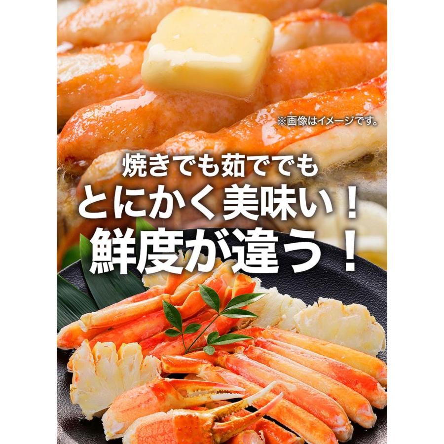 【箱つぶれ限定】ボイル ズワイガニ 脚 5kg 訳あり しゃぶしゃぶ用 ずわい ボイル メガ盛り かに カニ 蟹 歳末 お歳暮 年末グルメ 贈答 迎春 | おさかな問屋 魚奏 | 11