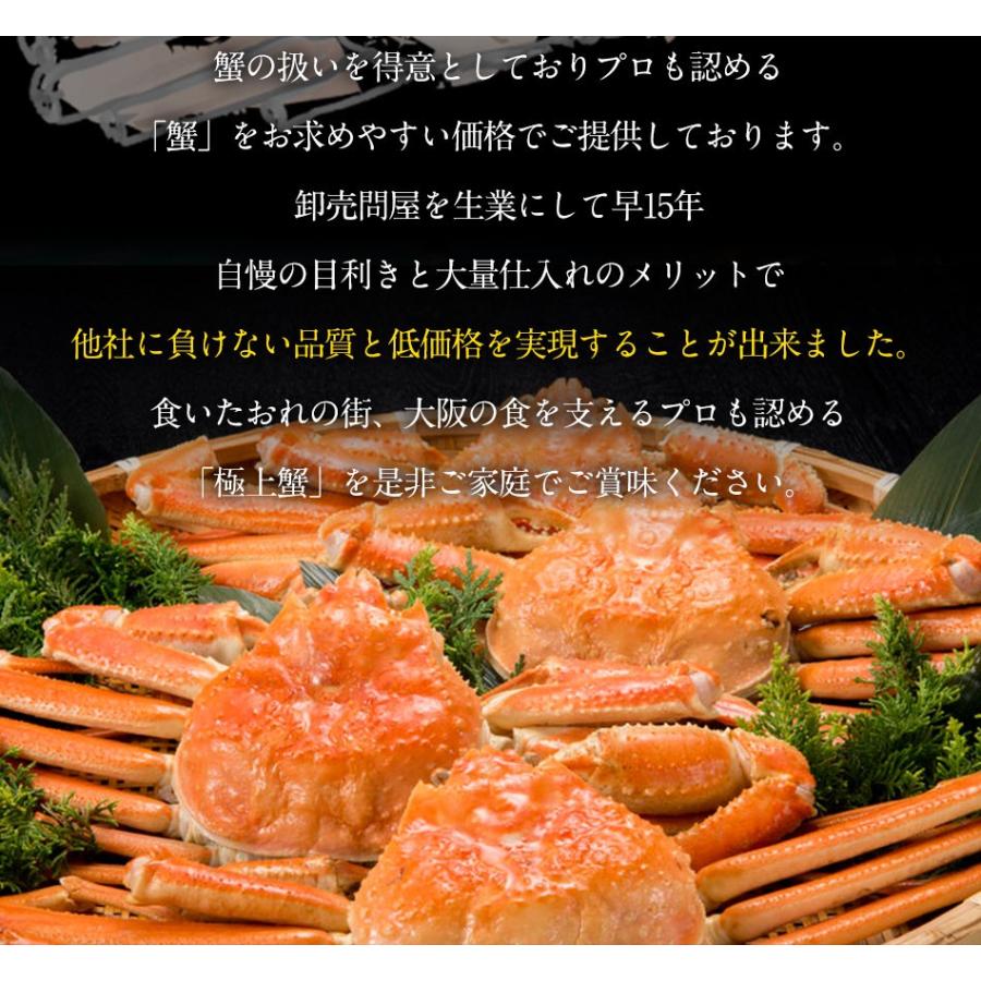【箱つぶれ限定】ボイル ズワイガニ 脚 5kg 訳あり しゃぶしゃぶ用 ずわい ボイル メガ盛り かに カニ 蟹 歳末 お歳暮 年末グルメ 贈答 迎春 | おさかな問屋 魚奏 | 17